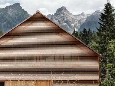 Fachadas de listones de madera: Ritmo y translucidez