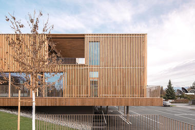 Gallery of Wooden Slat Facades: Rhythm and Translucency  - 13