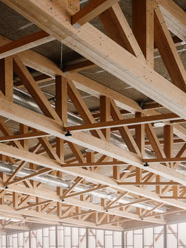 Gallery of After All, Is Using Wood in Architecture Sustainable?  - 4