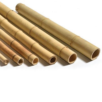 Poles - Bamboo Moso from Caneplex Design