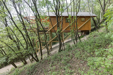 匈牙利“十二支柱”森林度假木屋 / RJZS Architects