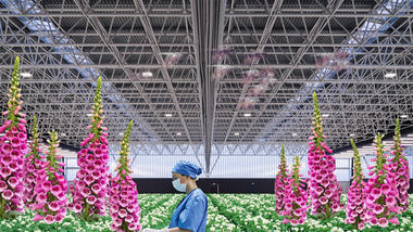 OMA's New Film Explores the Hospital of the Future