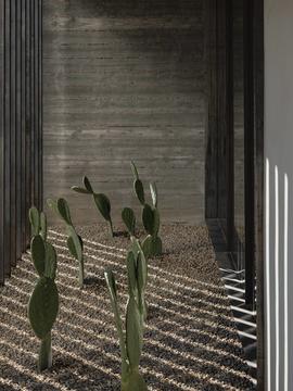 Gallery of Foo House / The Ranch Mine  - 17