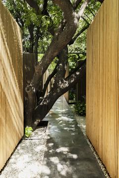 Galería de Casa Mague / Mauricio Ceballos X Architects  - 14