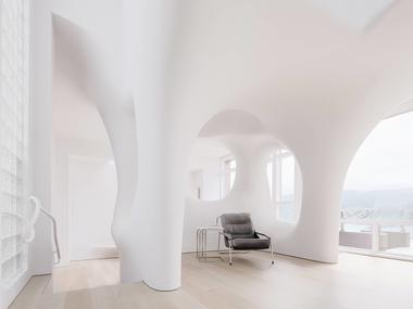 Softie Interior Renovation / OPA Architects