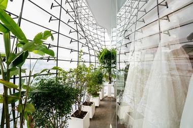 Estudio de bodas Rin / District 1 Architects