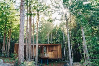 Gallery of Better Place Forests Memorial / OpenScope Studio + Fletcher Studio  - 9