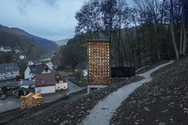 灌木丛与瞭望台临时装置 / Christoph Hesse Architects