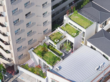 Gallery of Garden/House / MAMM DESIGN  - 2