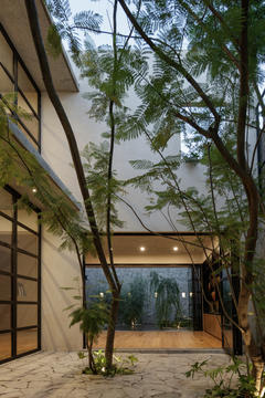 Gallery of Jacarandas House / C3 Arquitectos  - 3
