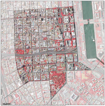 Galería de ¿Cómo se distribuye la vegetación en la ciudad de Buenos Aires?  - 3