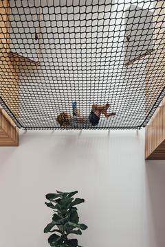 Gallery of Earl Street House / Bloxas  - 8