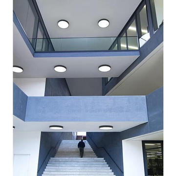 Ceiling Surface Lights - Area from Eureka Lighting