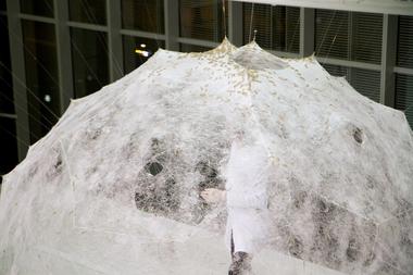 Gallery of Materials at the Intersection of Nature, Technology, Art and Architecture  - 1