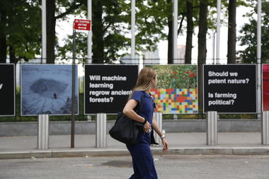 AMO Brings a Version of Countryside Exhibition At the United Nations Headquarters