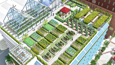 Can 'Agritecture' Help Us Adapt to Climate Change? These Architects Think So