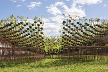 Instalação Kokedama Forest / Nomad Studio