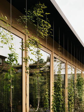 Gallery of Green Pavilion / Tom Munz Architekt  - 11