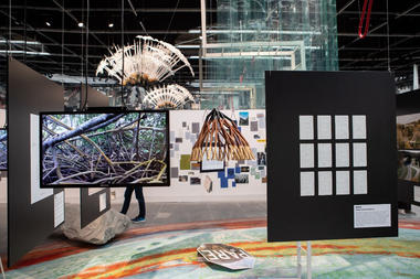 Atelier Marko Brajovic explora raízes de manguezais em instalação na Bienal de Veneza 2021