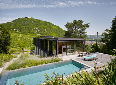 Galeria de Casa nos Vinhedos / Dietrich | Untertrifaller Architekten + Alexander Janowsky  - 8