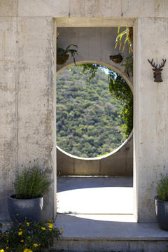 Gallery of Wild House / Mazpazz Arquitectura  - 4