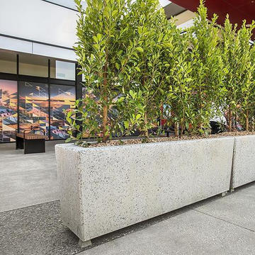 Concrete Planters from Anston Architectural