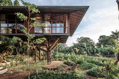 Casa del árbol C / Stilt Studios