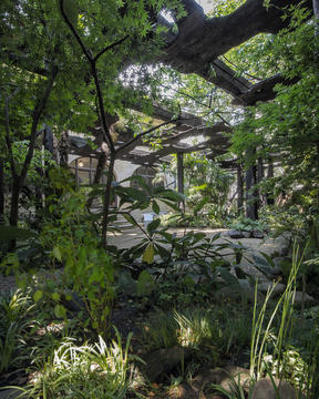 Galeria de Pavilhão Kokage-gumo / junya ishigami + associates  - 29