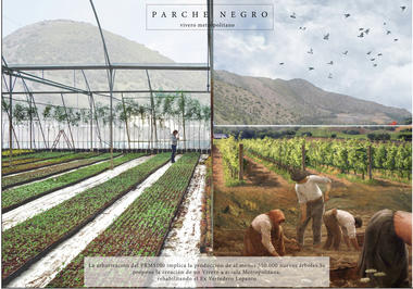 Galería de 'Sistema de parches integrados' obtiene primer lugar en Concurso Cerros Isla - Corredor Verde San Bernardo   - 7