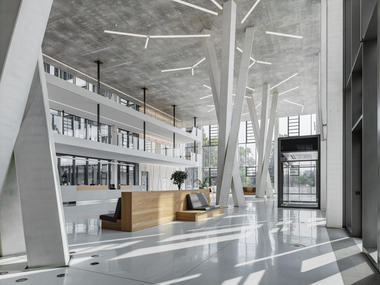 The Power of Concrete: Twisted Tree-Shaped Supports and Beams 