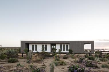 Galería de Casa AD 23 / Apio Arquitectos  - 12