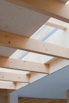 Gallery of Fruit Box House  / nimtim architects  - 9