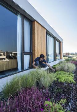 Gallery of Casa Grava / Estudio PKa   - 17