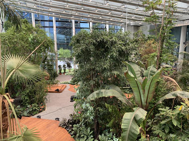 Exotic Workplace Garden / Malinowski Design Urban & Landscape
