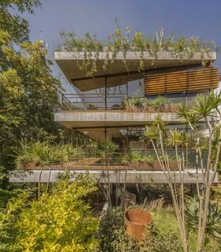 Casa erasto / Vertebral