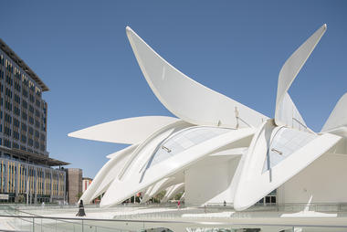 Calatrava's UAE Pavilion Through the Lens of Stephane Aboudaram 
