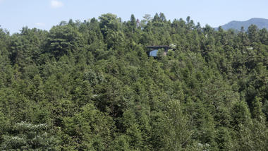 Treehouse / genarchitects