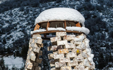 Construyendo con hongos en Argentina: El Refugio Fúngico a base de micelio en Bariloche