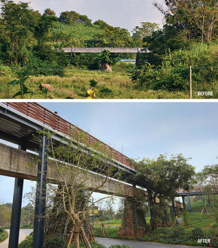 Gallery of Quarry Gardens in Nanning Garden Expo Park / ATELIER DYJG + School of Landscape Architecture, Beijing Forestry University  - 25