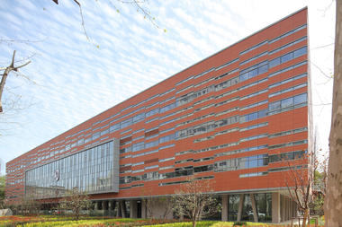 Jiaotong University of Law / Kokaistudios