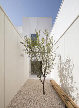 Gallery of Mint House / White on White Studio  - 3