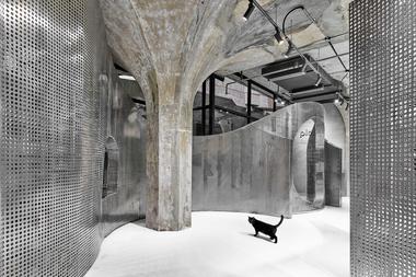 The Animal Backbone / I.F.S.E. SPACE CREATIVE LAB