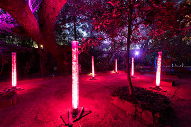 Galería de Luz y arquitectura: instalaciones exploran los jardines de la Casa Ortega de Luis Barragán  - 16