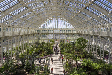 皇家植物园温室  / Donald Insall Associates