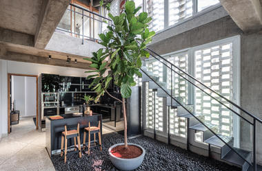 The House in 1970 / Architects Collaborative