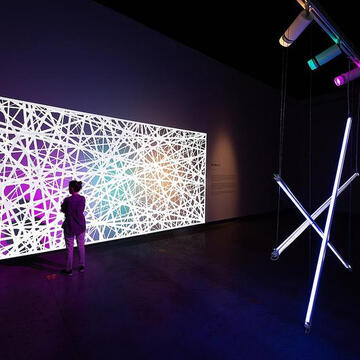 Lineal Lights in Juan Soriano Museum from Lutron