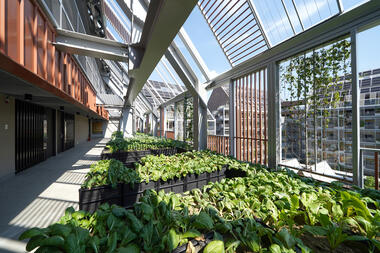 Gallery of Taisugar Circular Village / Bio-architecture Formosana  - 3