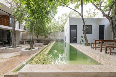 Galería de Casa abejas / TACO taller de arquitectura contextual   - 3
