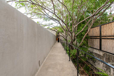 Casa abejas / TACO taller de arquitectura contextual 