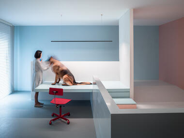 The Dog House / Atelier About Architecture